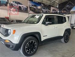 جيب رينيجيد